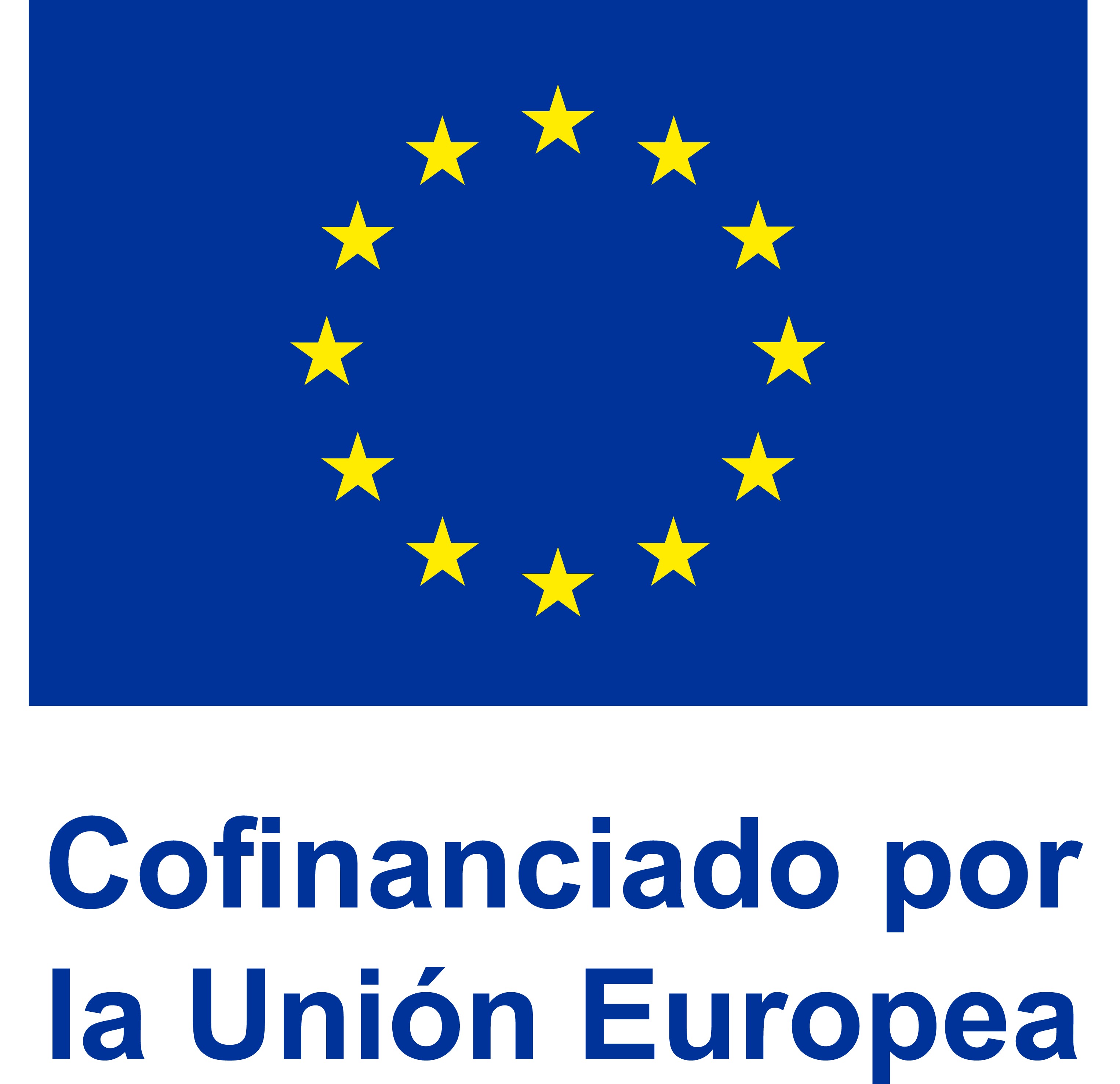 European Union Logo